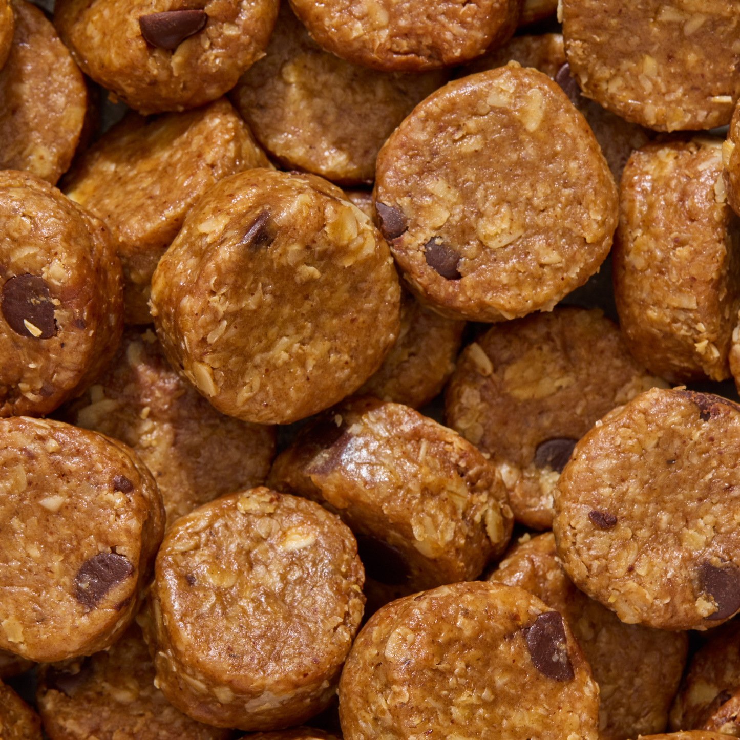 Chocolate Chip Oatmeal No-Bakes